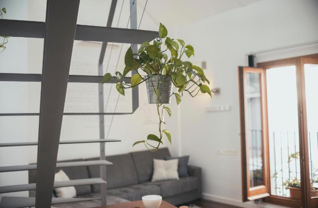 Trigo Homes Cordoba Ngoại thất bức ảnh